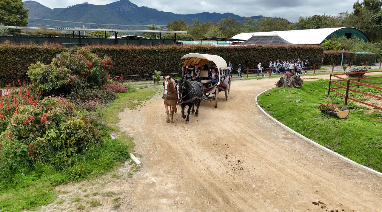 Carroza recorriendo el parque con las montañas al fondo